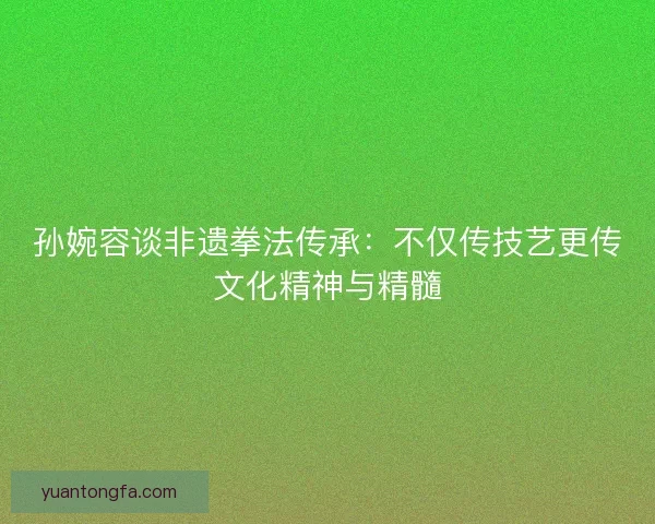 孙婉容谈非遗拳法传承：不仅传技艺更传文化精神与精髓